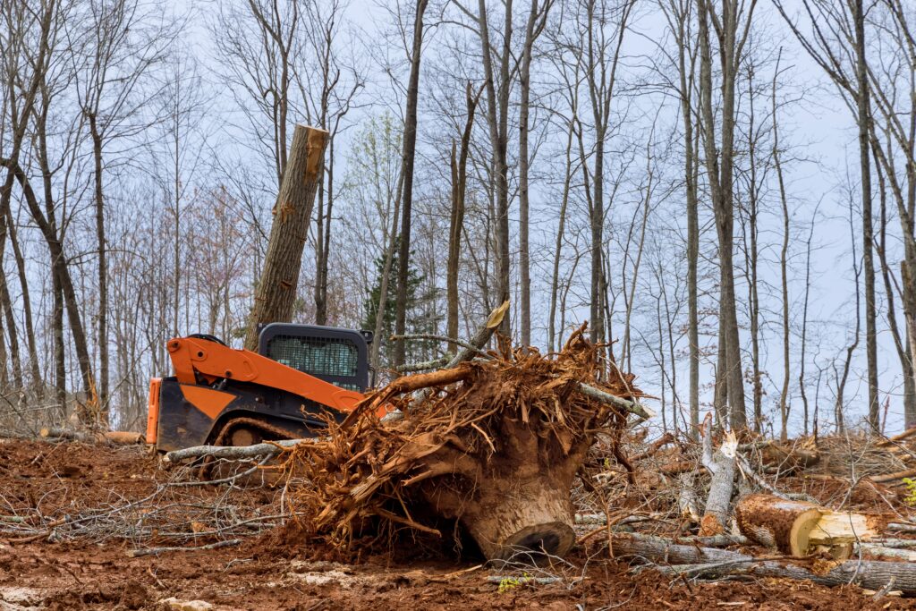 Land Clearing for Construction - V&B Grading, Inc.